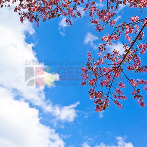 Ağaç – Gökyüzü Gergi Tavan Görselleri