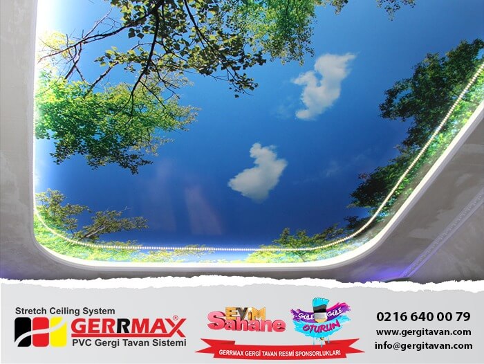 gökyüzü ağaç gergi tavan